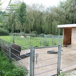 Sheep enclosure