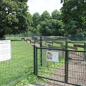 Entrance Wallaby walk-through