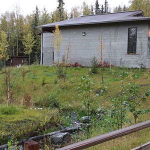 former elephant yard and barn