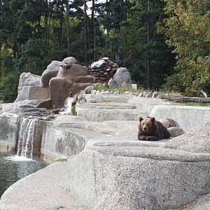 Brown Bear Enclosure (Oustide the Zoo) with New Waterfall