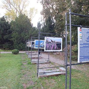 New Fauna and Flora of Israel Display