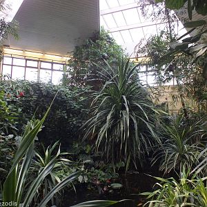 View in Walkthrough Tropical Aviary