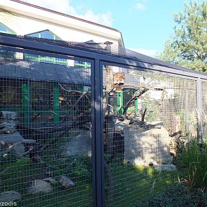 Rock Hyrax Outdoor Enclosure