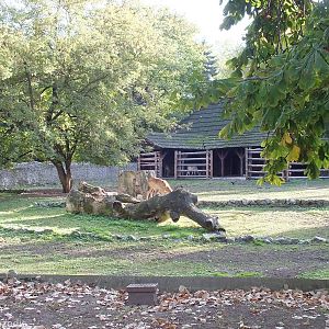 Former Sitatunga Enclosure that now holds Nile Lechwe