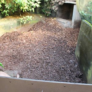 Second Aardvark enclosure