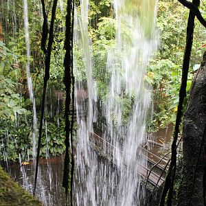 Behind the waterfall