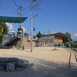 African Paddock at Knie Kinderzoo, 11/09/16