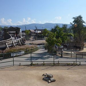 View at Knie Kinderzoo, 11/09/16