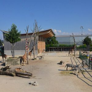 African Paddock at Knie Kinderzoo, 11/09/16