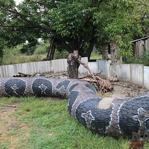 Tegu enclosure, Serpentario Machaqway - April 2016.