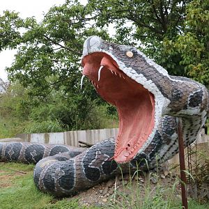 Crossed lancehead viper giant model, Serpentario Machaqway - April 2016.