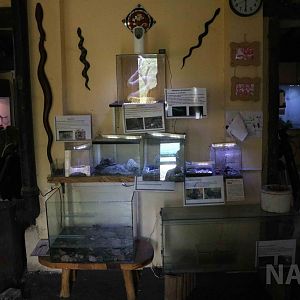 Small tanks, Serpentario Machaqway - April 2016.