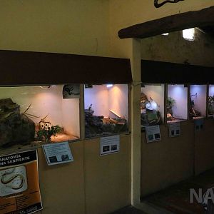 Vivaria, Serpentario Machaqway - April 2016.