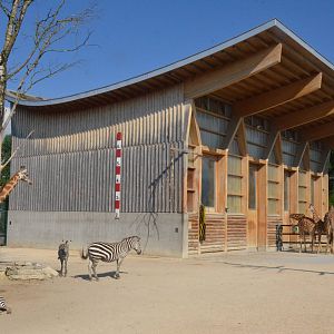 African Paddock at Knie Kinderzoo, 11/09/16