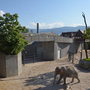 Elephant Complex at Knie Kinderzoo, 11/09/16