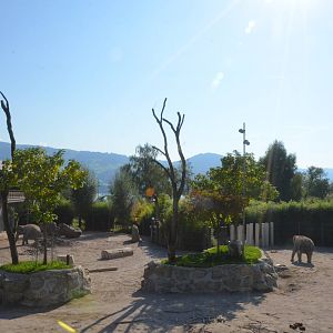 Elephant Complex at Knie Kinderzoo, 11/09/16