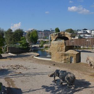Elephant Complex at Knie Kinderzoo, 11/09/16