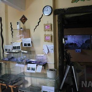 A view of around half of the facility, Serpentario Machaqway - April 2016.