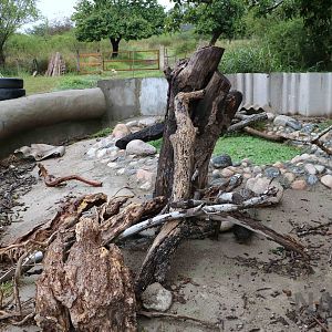 Tegu enclosure, Serpentario Machaqway - April 2016.