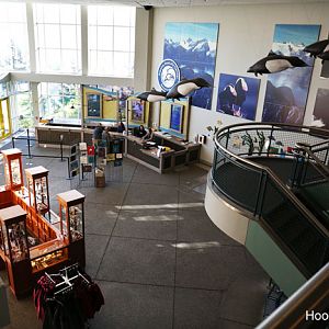 Interior entry and main lobby