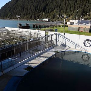 Holding and rehabilitation pens