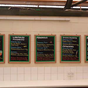 Monkey feeding signs, September 2016