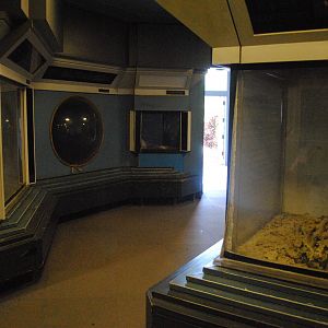 Aquarium Room in the Main Building (small and currently almost empty)