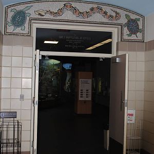 Entrance to Carl Kauffeld Hall of Reptiles
