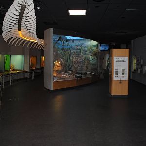 Carl Kauffeld Hall of Reptiles
