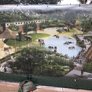 New Bull elephant Yard renderings and construction