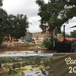 New Bull elephant Yard renderings and construction