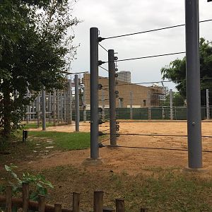 New Bull elephant Yard renderings and construction