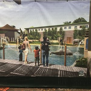 New Bull elephant Yard renderings and construction