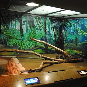 Reticulated Python exhibit