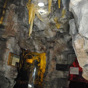 Tropical Forest - exhibts for Short-tailed Leaf-nosed Bats (left) and Blind