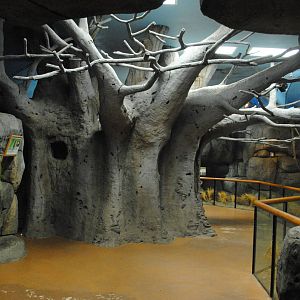 African Hall Interior