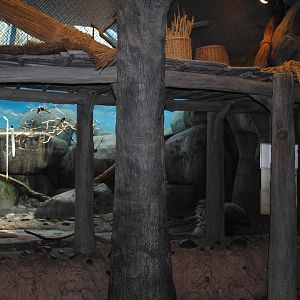 African Hall - Mixed Species exhibit