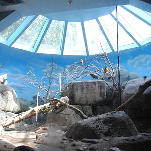 African Hall - Mixed Species exhibit