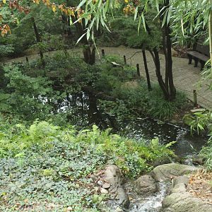 Sep. 2016 - Former Koi Pond (Not Accessible to Guests)