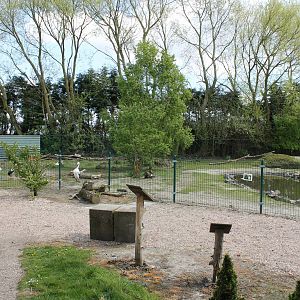 Another part of the Capybara enclosure