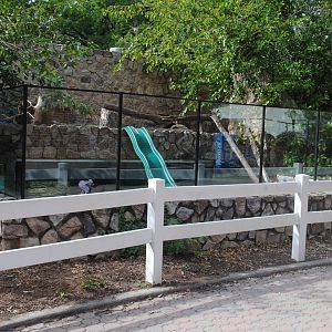 North American River Otters exhibit