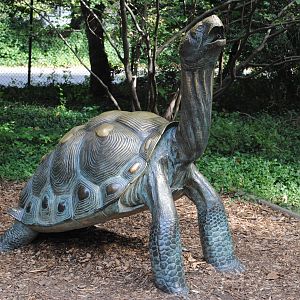 Giant Tortoise Statue