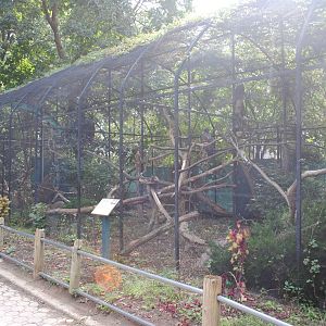 Raptor Aviaries