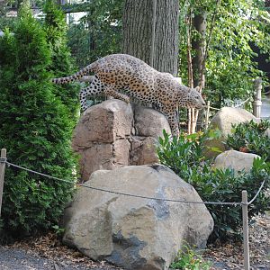 Amur Leopard Statue
