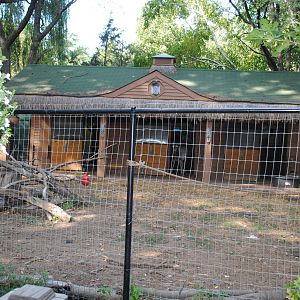 Sahara exhibit (Scimitar-horned Oryxes/Ostriches/Southern Ground Hornbills)