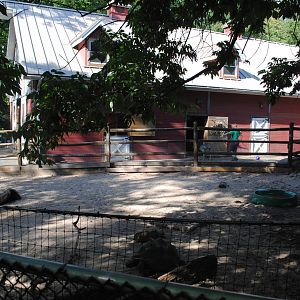 Giant Tortoises/Coscoroba exhibit (Children's zone) with Rhea pen behind