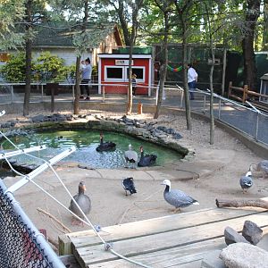 Beaver/Waterfowl exhibits (Children's zone)