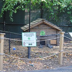 Woodchuck exhibit (Children's zone)
