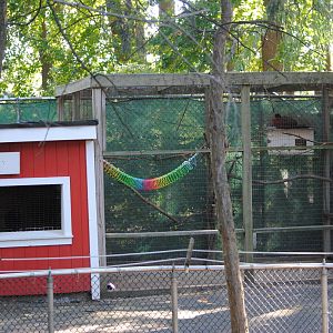 Pheasants' exhibit (former Chicken Coop) - Children's Zone