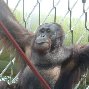 Kai before move to Spain